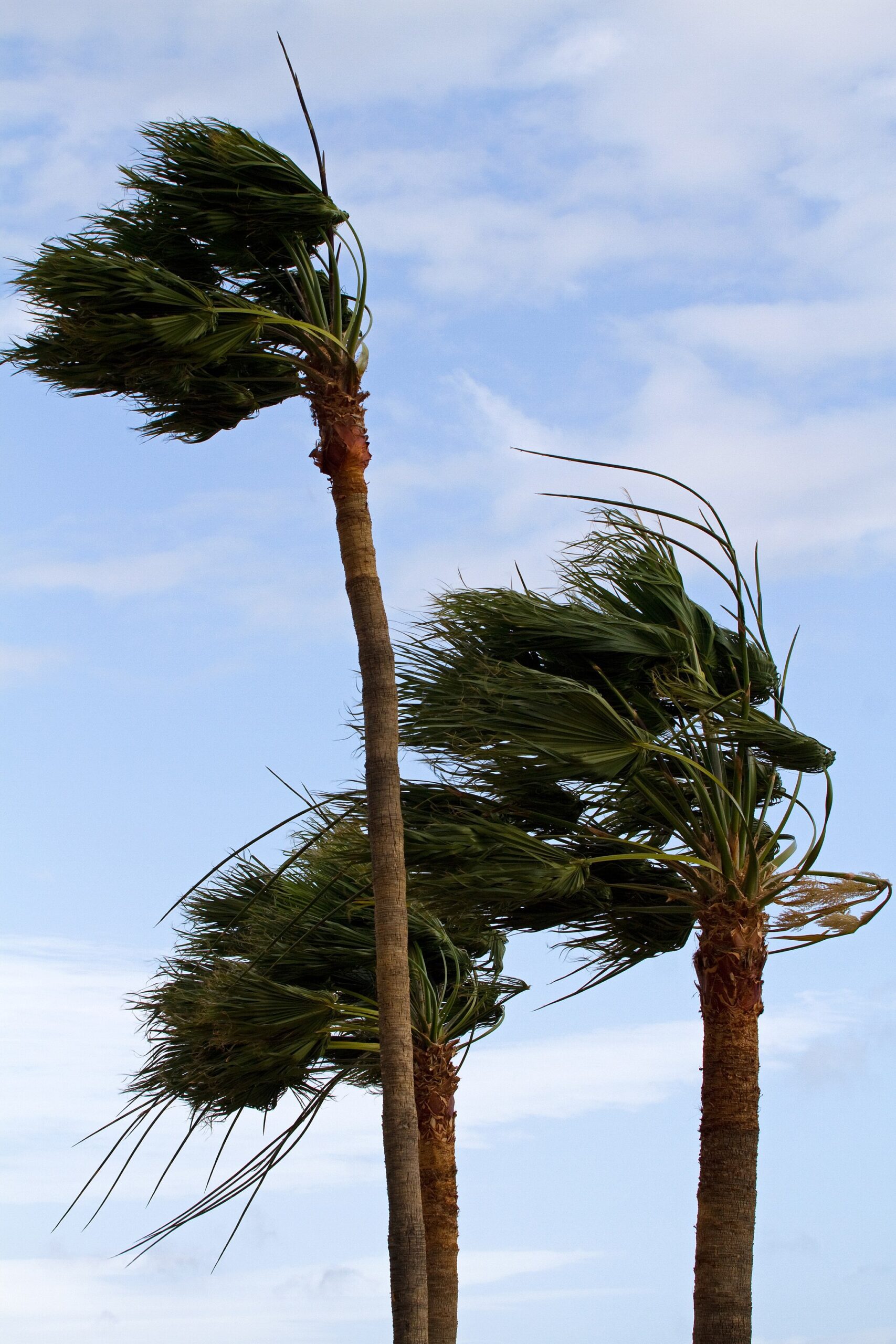 Windy Tennis Wins: How Smart Players Turn Tough Conditions Into an Advantage